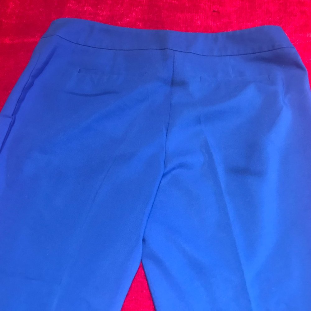 Cute Capri Stretch Blue Color8 size